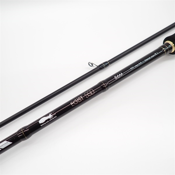 エギストＳＳＤ８６Ｍ